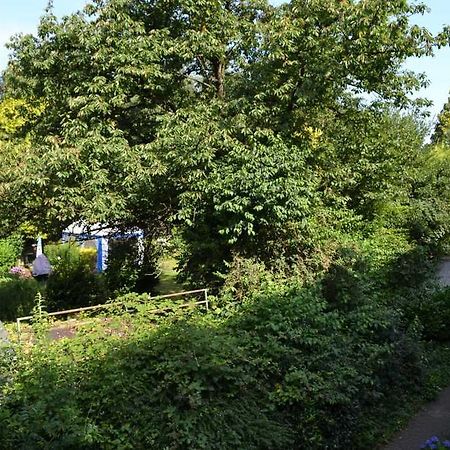 4 Sterne Ferienwohnungen Lavendel Brueggen Bruggen  Buitenkant foto
