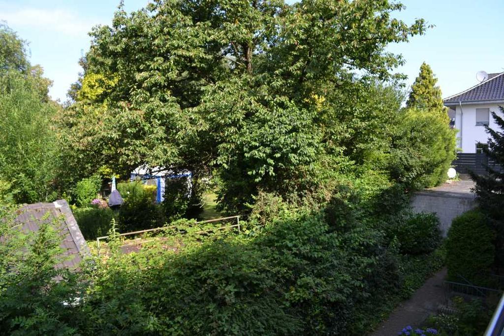 4 Sterne Ferienwohnungen Lavendel Brueggen Bruggen  Buitenkant foto